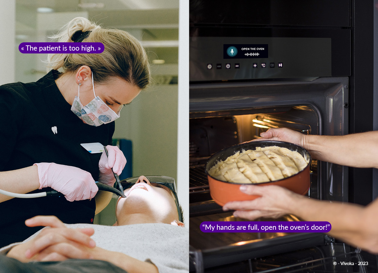Vivoka challenges the voice assistant giants with its offline solution